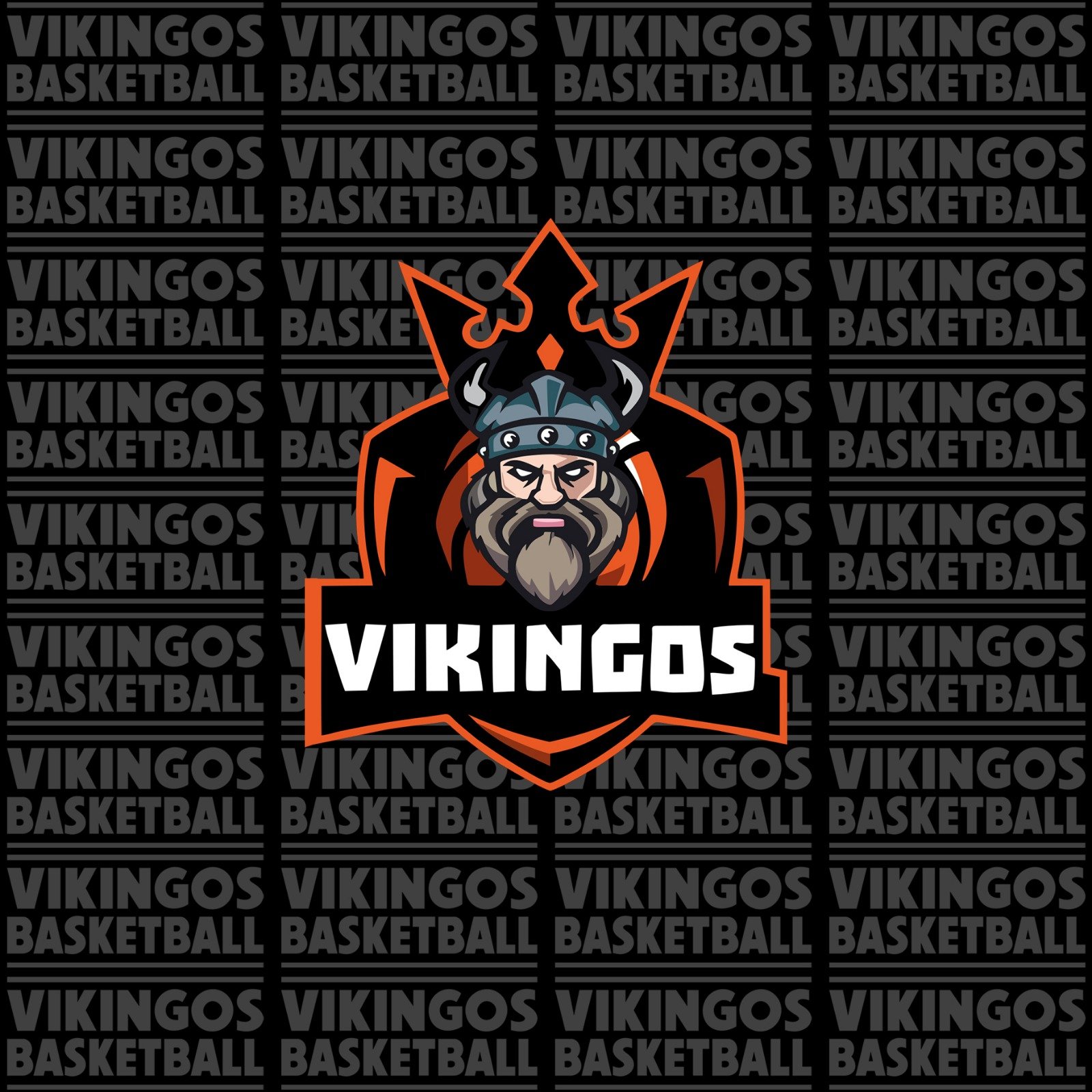 VIKINGOS BASKETBALL
